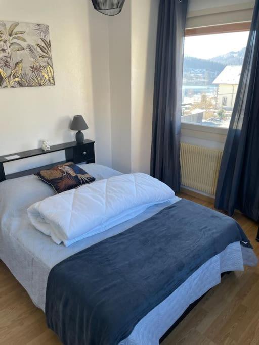Entre Lac Et Montagne 4/6 Personnes Gérardmer Eksteriør billede